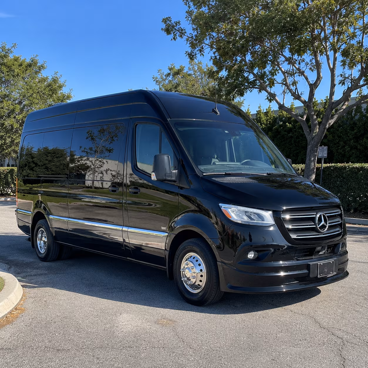 lubbock sprinter limousine